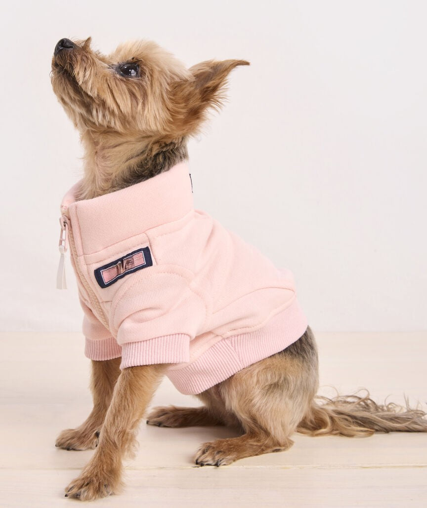 Shirt for Dogs