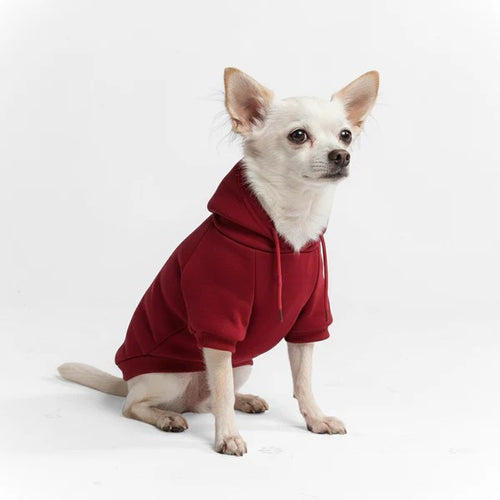 Essential Dog Hoodie