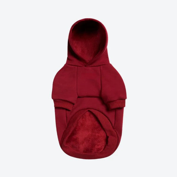 Essential Dog Hoodie
