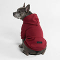 Essential Dog Hoodie