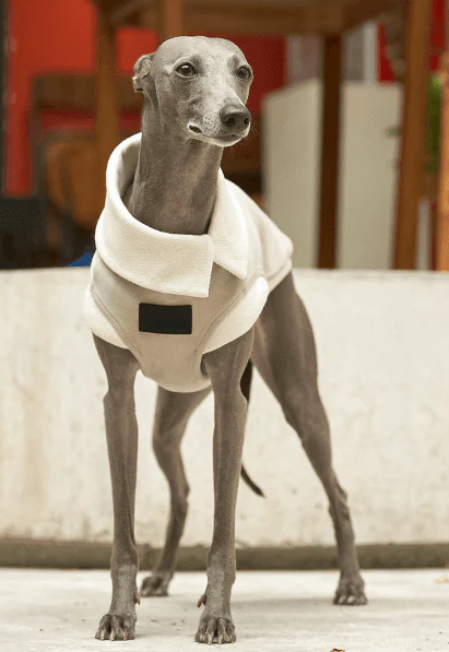 Ivory Asymmetric Collar Tank Top