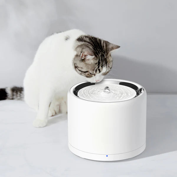 Wireless Smart Water Fountain