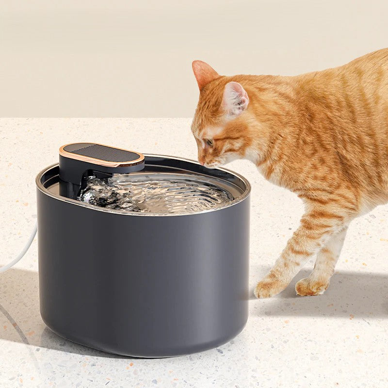 Pet Fountain, Automatic Large Capacity Quiet Enhanced Electric Core Pet Smart Water Dispenser, Automatic Cat Water Dispenser for Cat and Dog