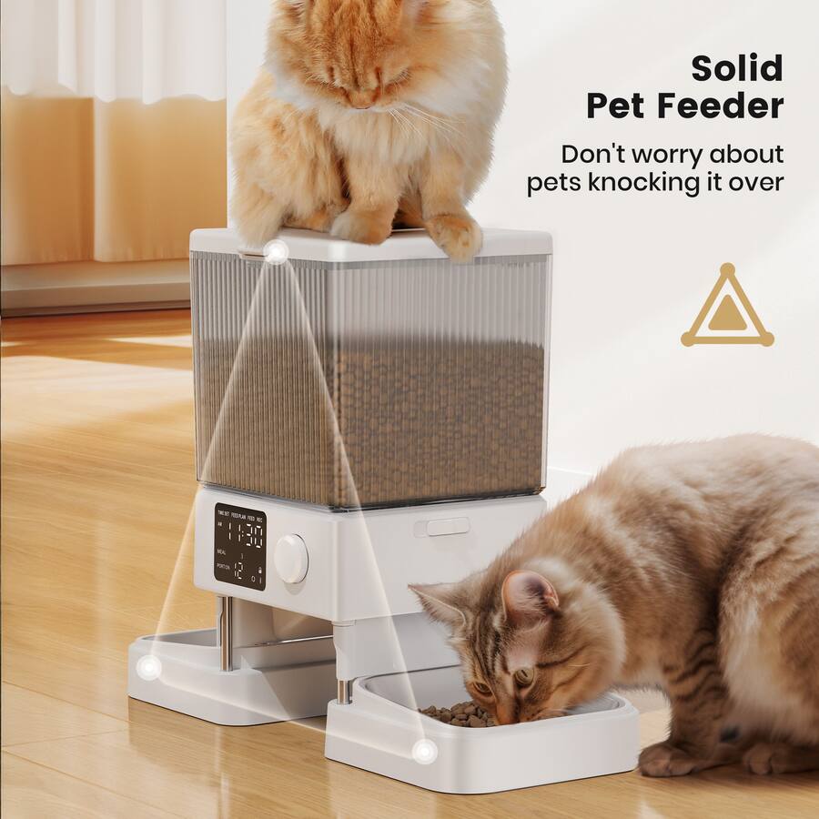 Automatic Cat Feeder for 2 Pets with Dual Bowls Smart Programmable Timer and Portion Control Dry Food Dispenser