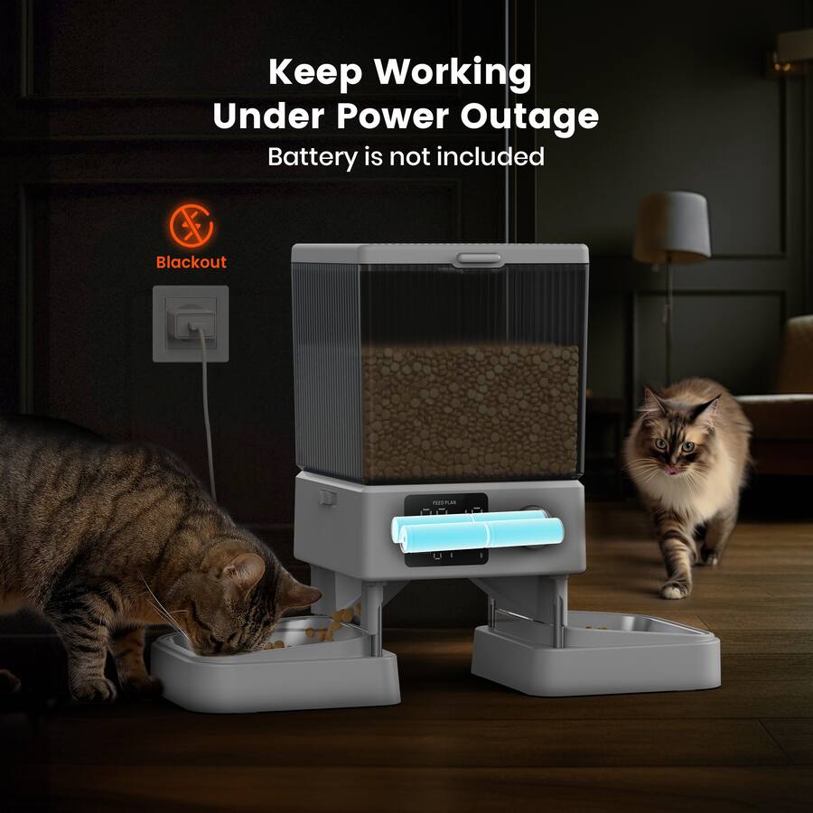 Automatic Cat Feeder for 2 Pets with Dual Bowls Smart Programmable Timer and Portion Control Dry Food Dispenser