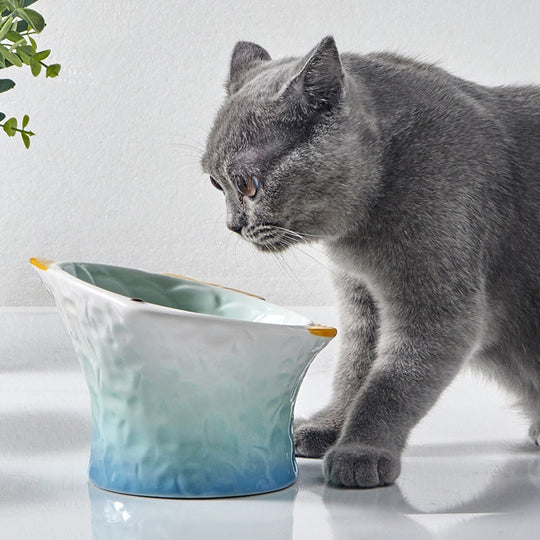 Raised Tilted Ceramic Cat Bowl - Cute Elevated Slanted Shallow Angled Cat Dish - Personalized Pet Feeder for Food Feeding - Size for Cat and Small Dog