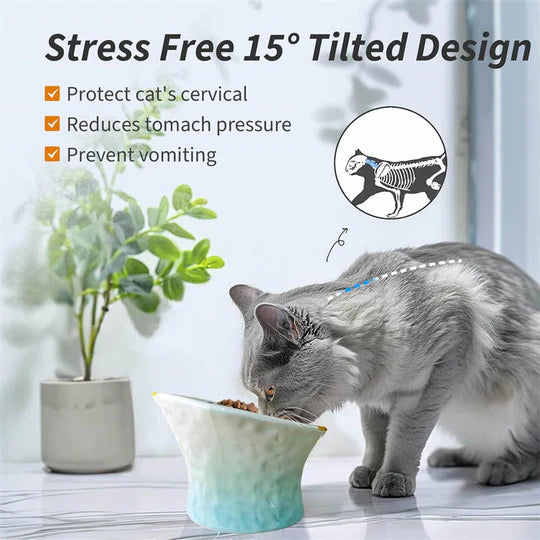 Raised Tilted Ceramic Cat Bowl - Cute Elevated Slanted Shallow Angled Cat Dish - Personalized Pet Feeder for Food Feeding - Size for Cat and Small Dog